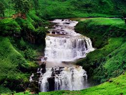 THE TEA COUNTRY - SRI LANKA